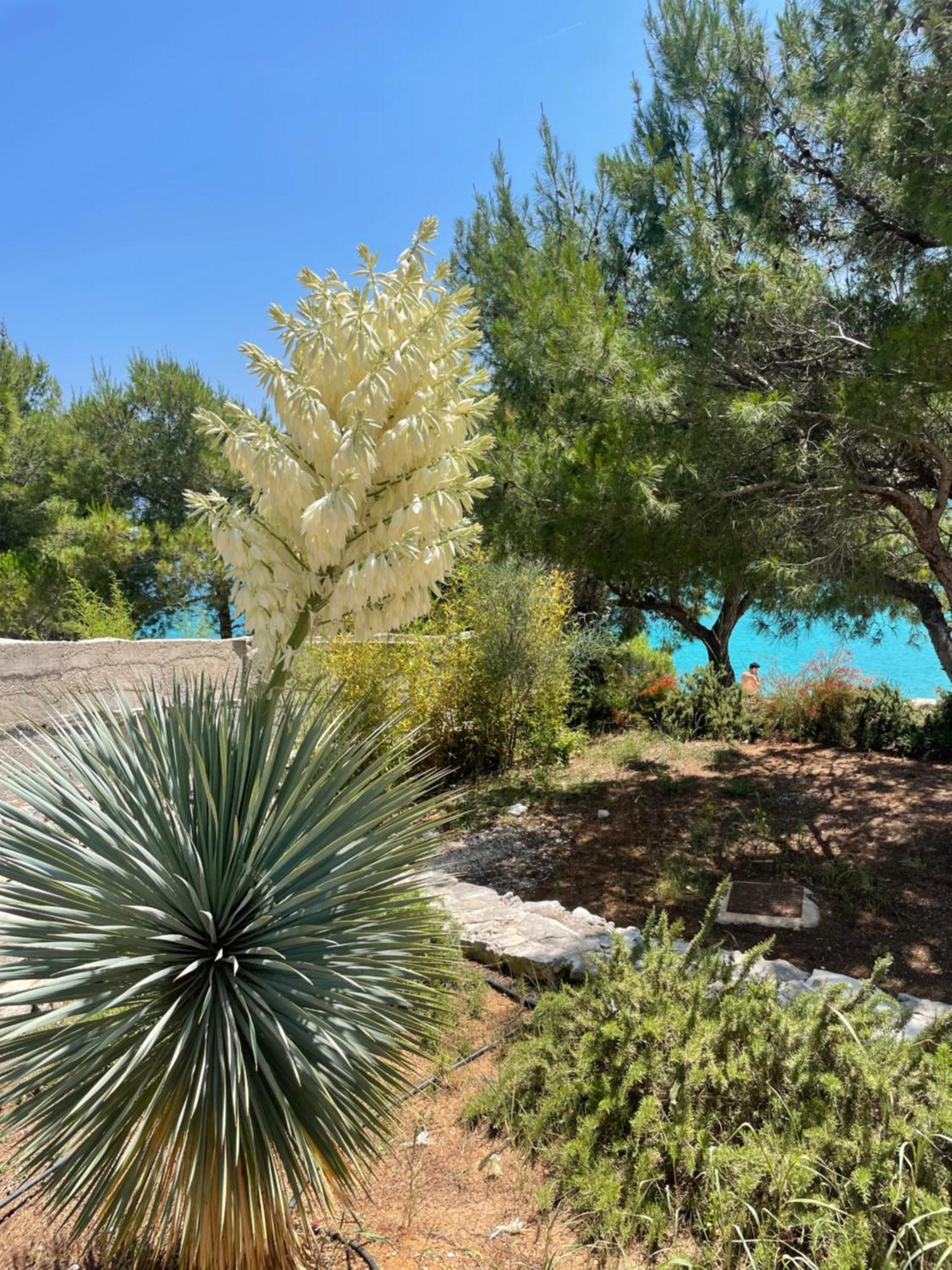 Luxury Villa Kate - In Lucice Bay With Turquoise Sea, Amazing Seaviews, And Heated Pool Milna  Εξωτερικό φωτογραφία